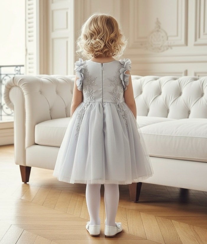 BIANCA DRESS SILVER