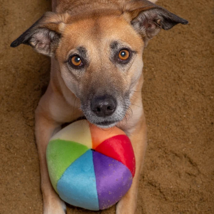 Fluff and Tuff Dog Toy-Beach Ball - Dog.Dog.Cat.