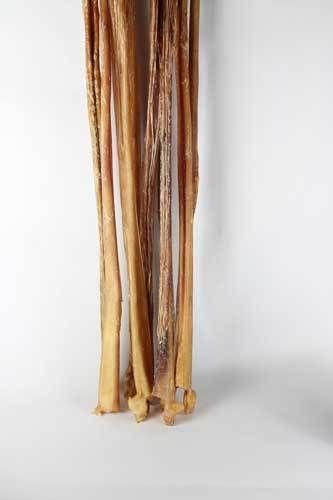 Full Cane Bully Stick 24" - Extra Long Natural Dog Chew - Dog.Dog.Cat.