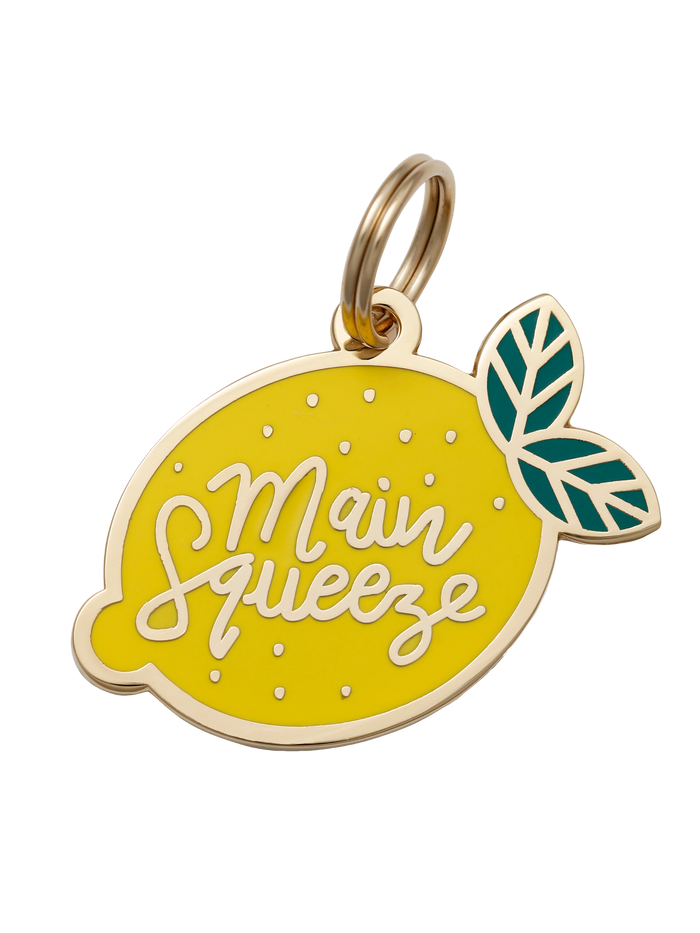 Main Squeeze Pet ID Tag - Dog.Dog.Cat.