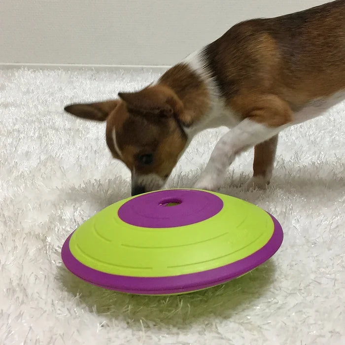Outward Hound Dog Puzzle-Treat Maze : Level 2 - Dog.Dog.Cat.