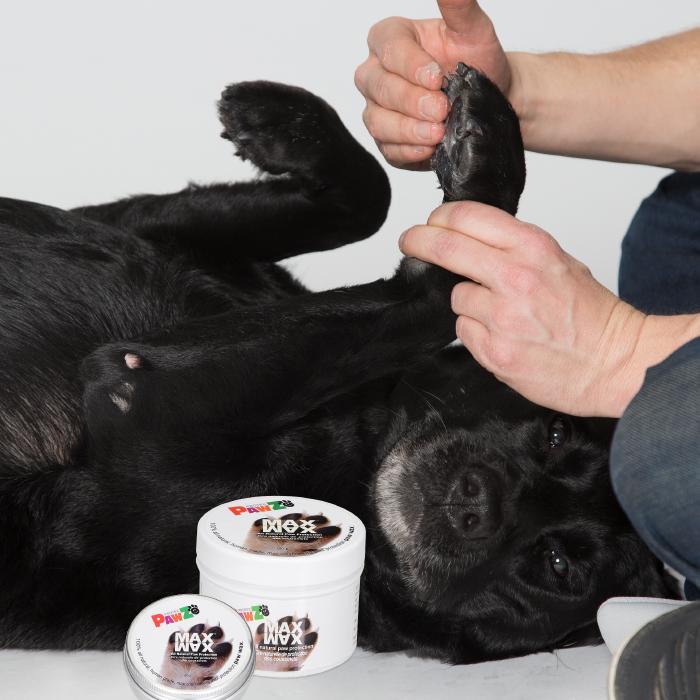 Pawz Max Wax Protection - Dog.Dog.Cat.