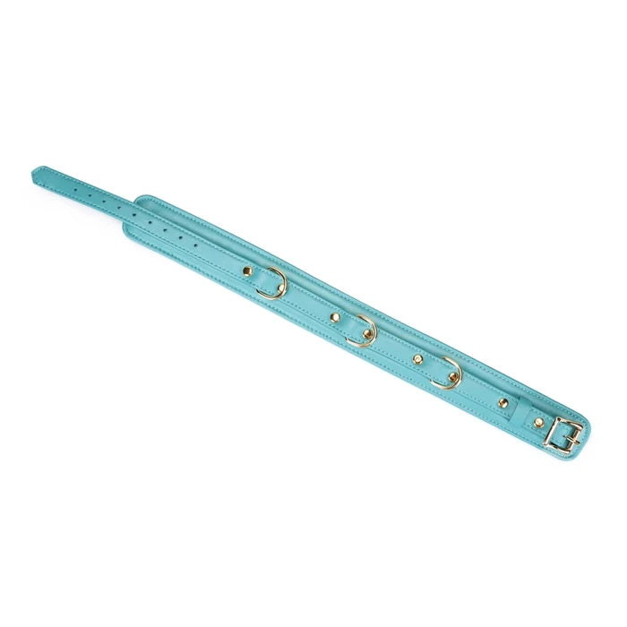 Valkyrie Vice Leather Collar and Leash