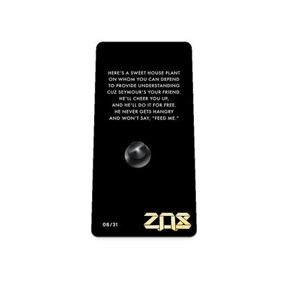 2021 - Day 6 - Seymour Sunshine