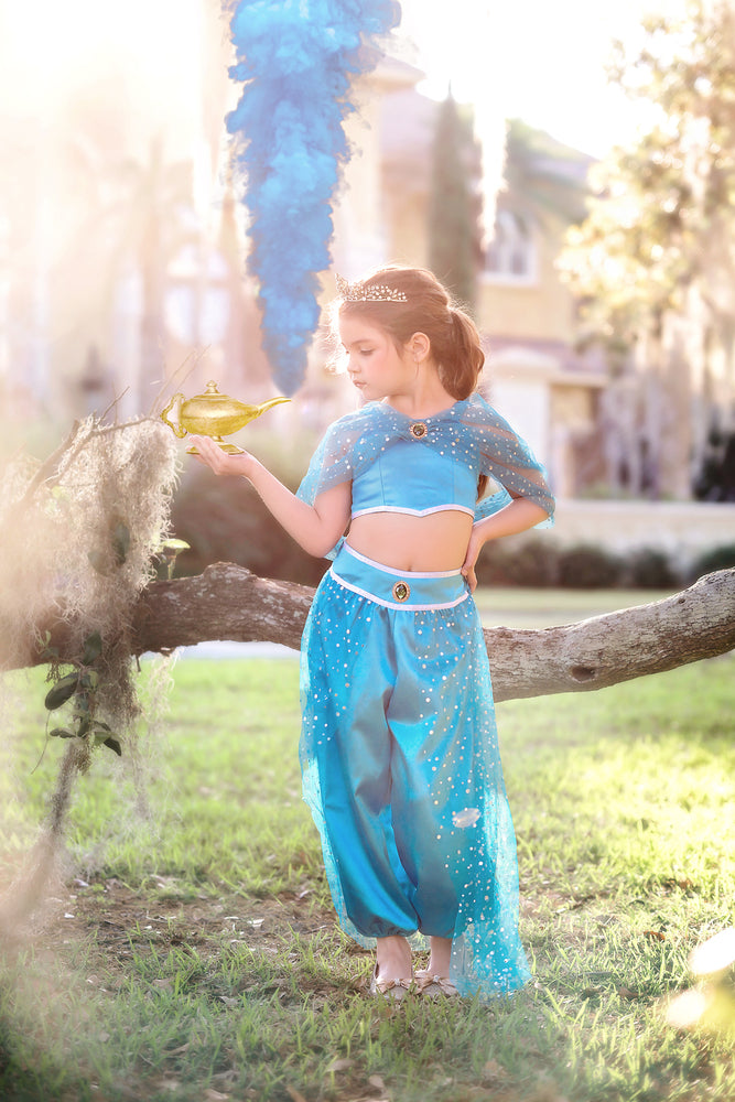 $29.99 DRESS UP SALE GENIE COSTUME BLUE