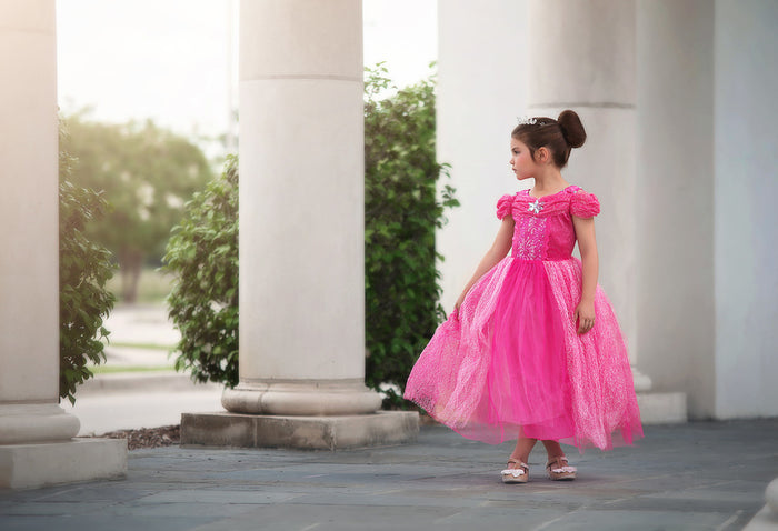 $29.99 DRESS UP SALE PINK PRINCESS