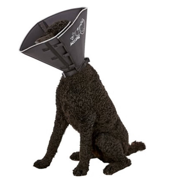 All Four Paws - The Original Comfy Cone - Dog.Dog.Cat.