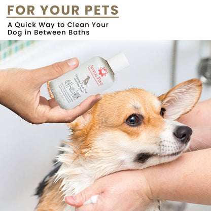 Aroma Paws - 7 Oz. Organic Face, Coat & Paw Wash - Dog.Dog.Cat.