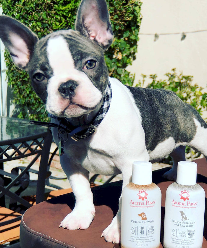 Aroma Paws - 7 Oz. Organic Face, Coat & Paw Wash - Dog.Dog.Cat.