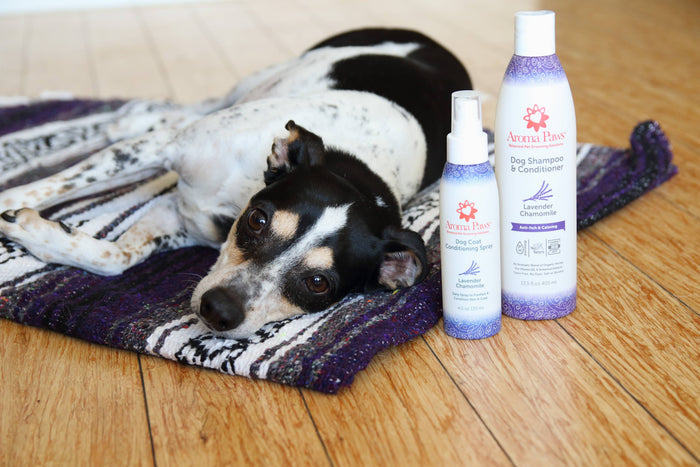 Aroma Paws - 13.5 Oz. Shampoo Lavender Chamomile - Dog.Dog.Cat.