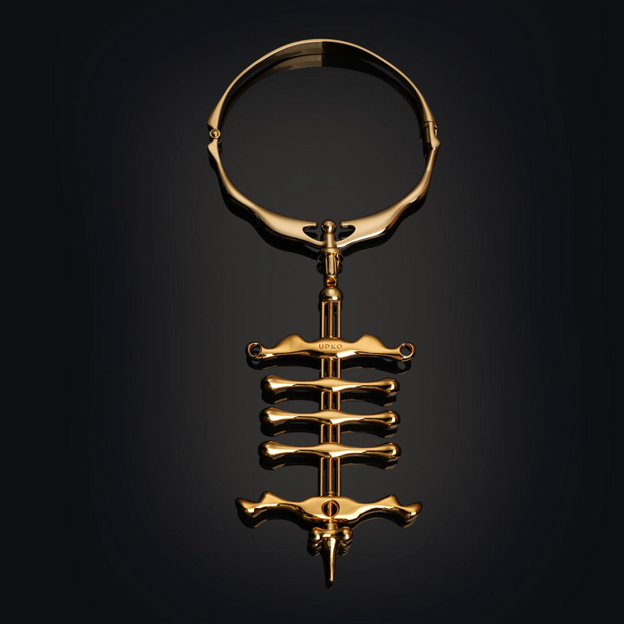 Aurum Embrace Collar and Finger Restraint