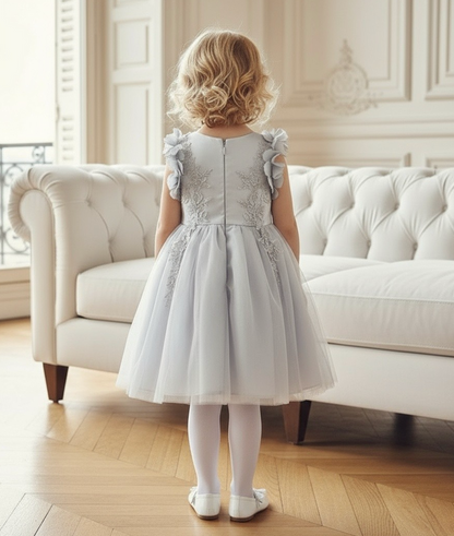 BIANCA DRESS SILVER