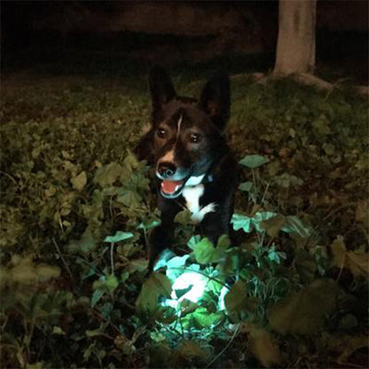 Chuckit Max Glow Ball-White : MED - Dog.Dog.Cat.