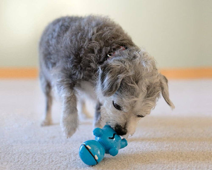 Cycle Dog - 3-Play Hippo Dog Toy - Dog.Dog.Cat.