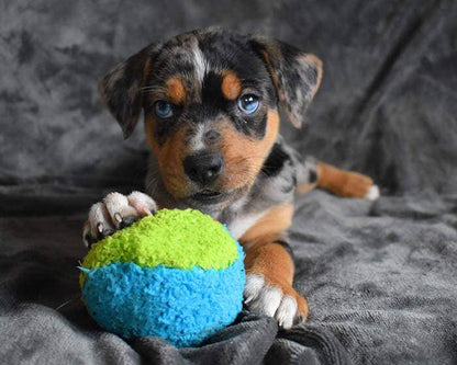 Cycle Dog - Duraplush FuzzBall Dog Toy - Dog.Dog.Cat.