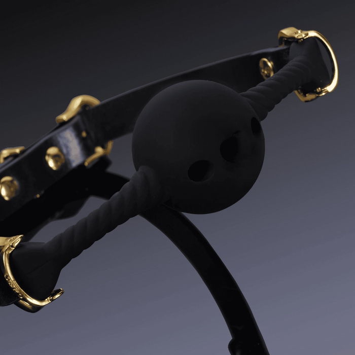 Discipline Breathable Mouth Gag with Heart
