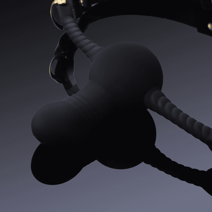 Discipline Dildo Shaped Mouth Gag