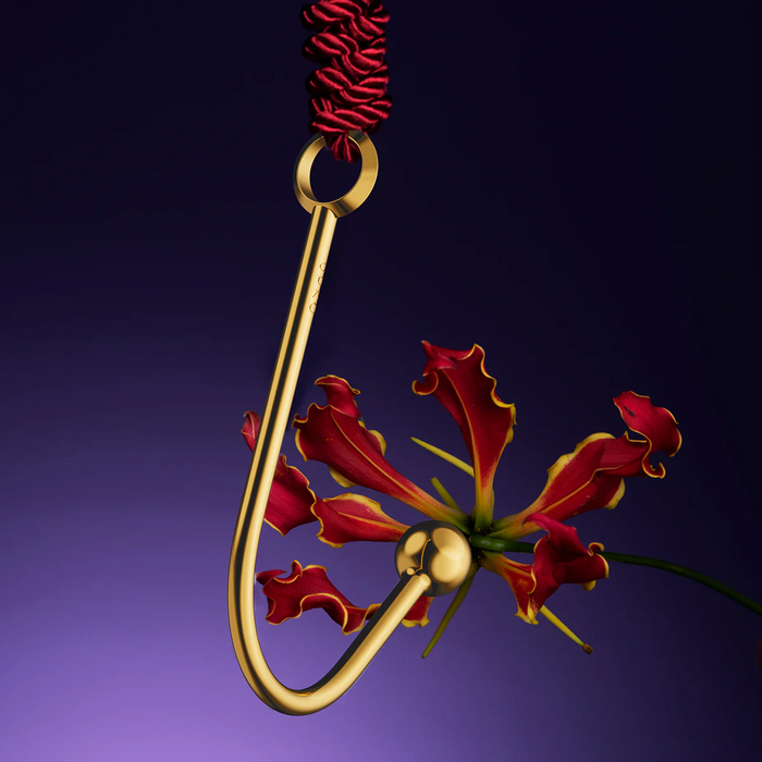 Discipline Vaginal/Anal Hook