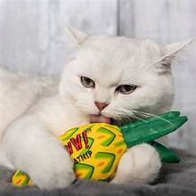 Ducky World Yeowww Pineapple Catnip Filled Toy - Dog.Dog.Cat.