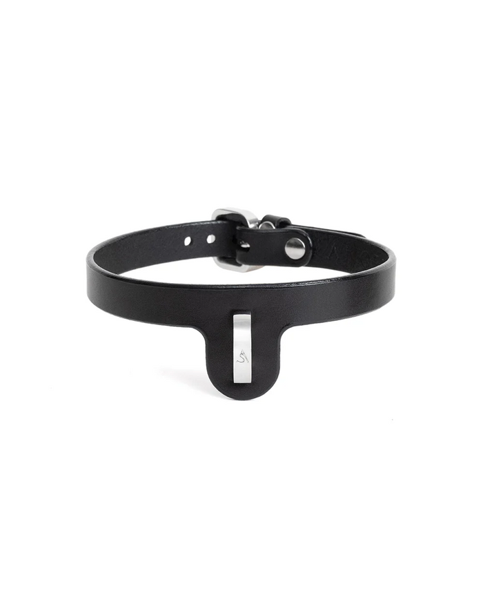 Embla 2.0 Leather Collar Black & Silver