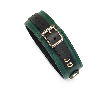 Evergreen Leather Collar with Leash