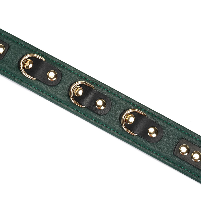 Evergreen Leather Collar with Leash