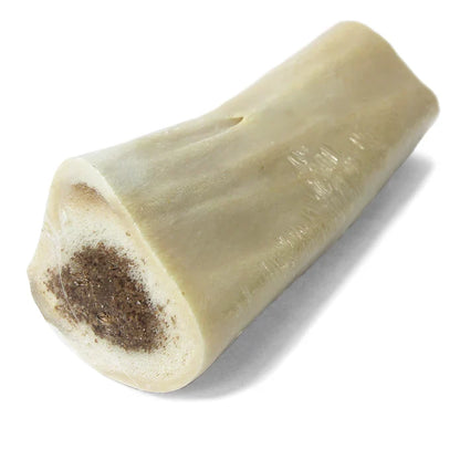 Filled Bone 3" and 5" in a variety of flavors - Dog.Dog.Cat.