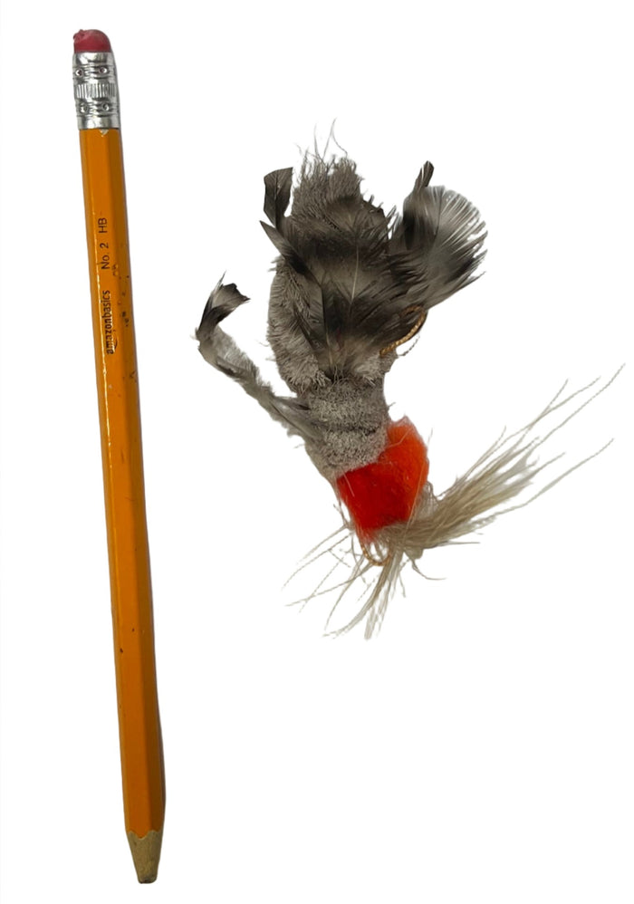 Natural House fly