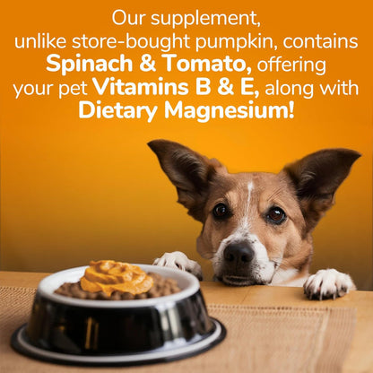 Fruitables Canned Food-Pumpkin Ginger : 15 oz - Dog.Dog.Cat.