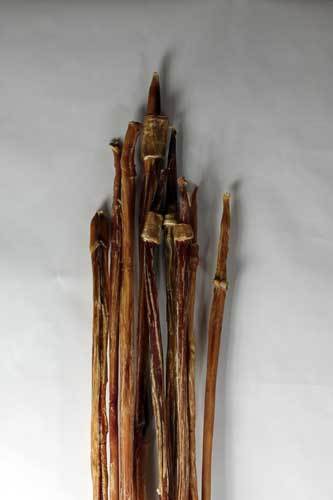 Full Cane Bully Stick 24" - Extra Long Natural Dog Chew - Dog.Dog.Cat.