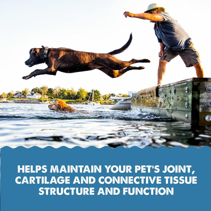 Grizzly Joint Aid Liquid - Dog.Dog.Cat.