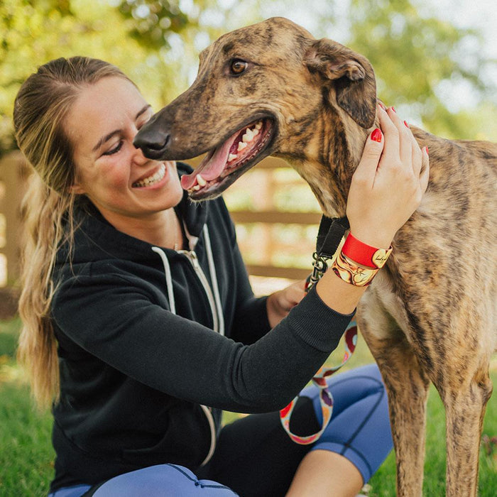 girl smiling in black hoodie and 2 heart of gold wristbands petting a grayhound.