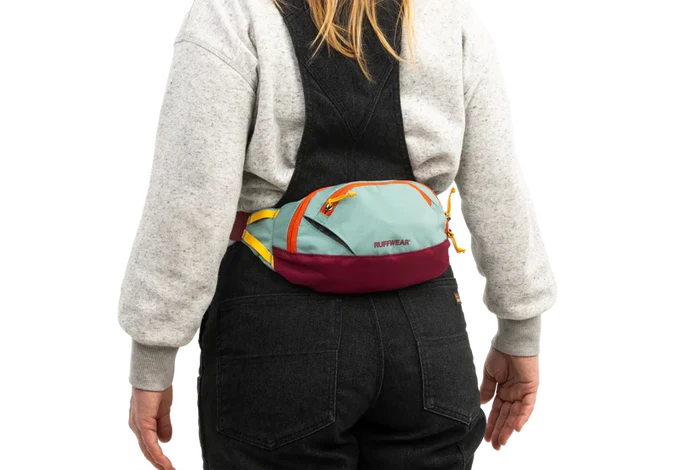 Home Trail™ Hip Pack Hands-Free Everyday Bag - Dog.Dog.Cat.