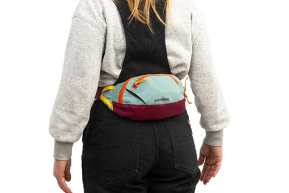 Home Trail™ Hip Pack Hands-Free Everyday Bag - Dog.Dog.Cat.