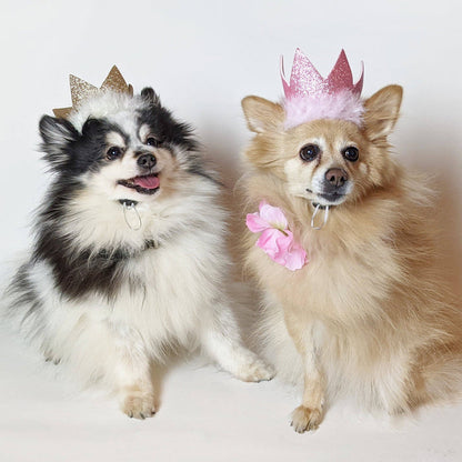 Huxley & Kent - H&K Party Crown Gold with SnugFit® - Dog.Dog.Cat.