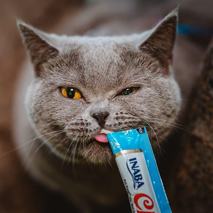 INABA Churu Cat Treats, Grain-Free, Lickable, Squeezable Creamy Purée Cat Treat/Topper with Vitamin E & Taurine, 0.5 Ounces Each Tube, 40 Tubes, Chicken Variety Box - Dog.Dog.Cat.