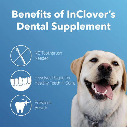 InClover Dental Supplement for Dogs + Cats (BioBrilliant) - Dog.Dog.Cat.