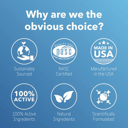 InClover Dental Supplement for Dogs + Cats (BioBrilliant) - Dog.Dog.Cat.