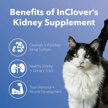 InClover Kidney Supplement for Dogs + Cats (BioRen) - Dog.Dog.Cat.