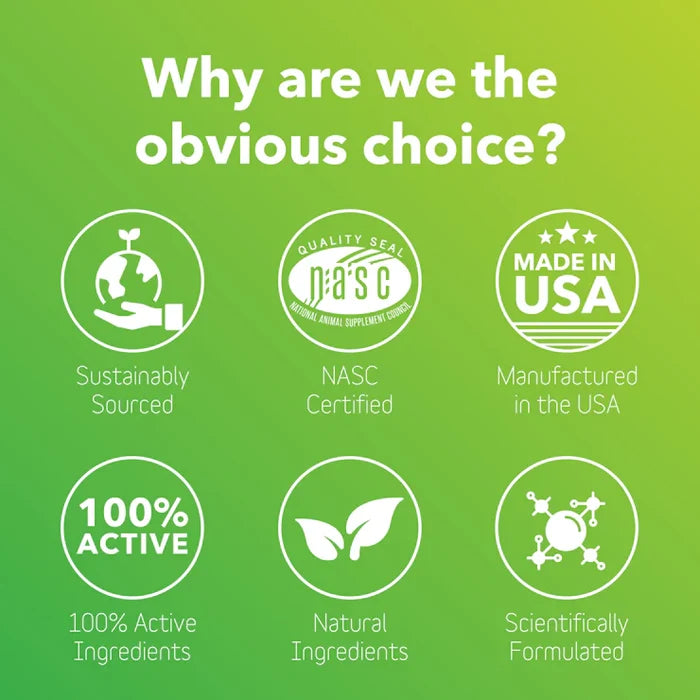InClover Allergy Supplement for Dogs + Cats (BioResiliant) - Dog.Dog.Cat.