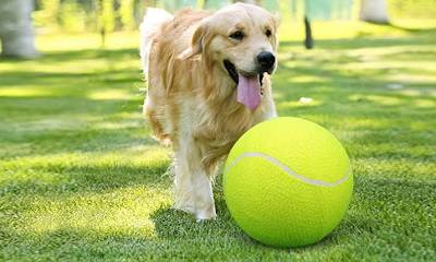 Jumbo Tennis Ball for Dogs - 9.5 Inch Giant Inflatable Dog Toy with Basketball Core - Dog.Dog.Cat.