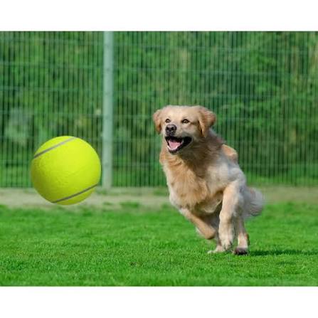 Jumbo Tennis Ball for Dogs - 9.5 Inch Giant Inflatable Dog Toy with Basketball Core - Dog.Dog.Cat.