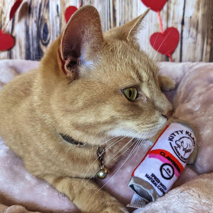 Kitty Klaw Clawberry Cat Toy - Dog.Dog.Cat.