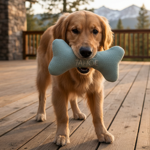 Lake Tahoe Tweed Bone Dog Toy - Squeaker Plush for Dogs - Dog.Dog.Cat.