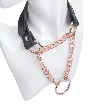 Martingale Collar