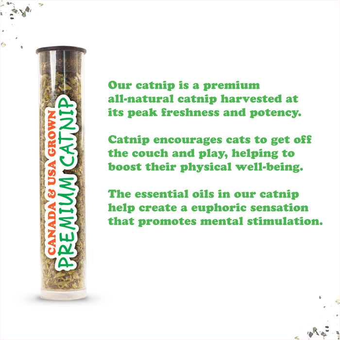 Meowijuana - Get Sprung Refillable Mushroom - Dog.Dog.Cat.