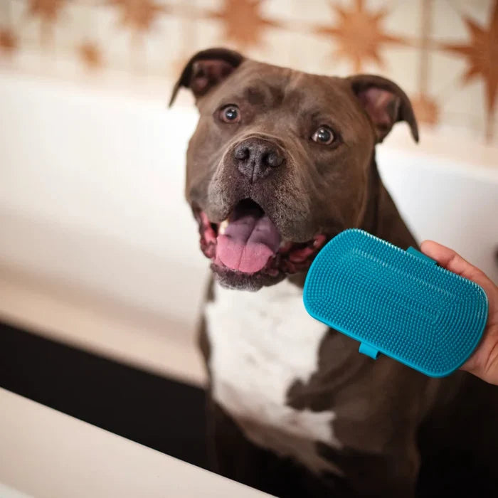Messy Mutts Dual Sided Grooming Brush - Silicone Deshedding Tool - Dog.Dog.Cat.