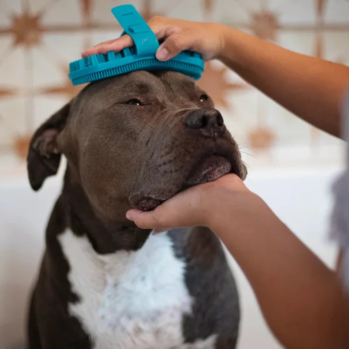 Messy Mutts Dual Sided Grooming Brush - Silicone Deshedding Tool - Dog.Dog.Cat.