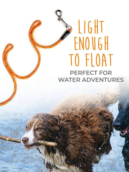 Mighty Paw - 30' Check Cord - Dog.Dog.Cat.