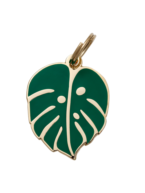 Monstera Leaf Pet ID Tag - Dog.Dog.Cat.